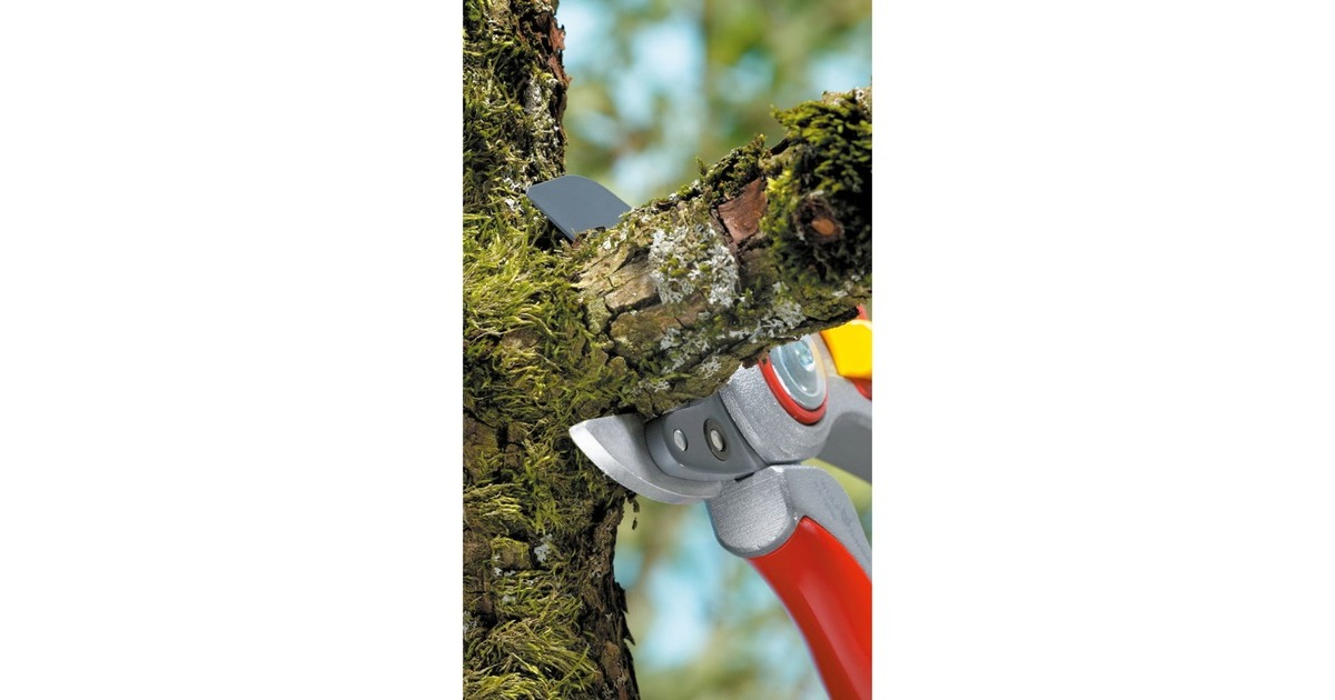 WOLF-Garten Amboss-Gartenschere RS 5000 