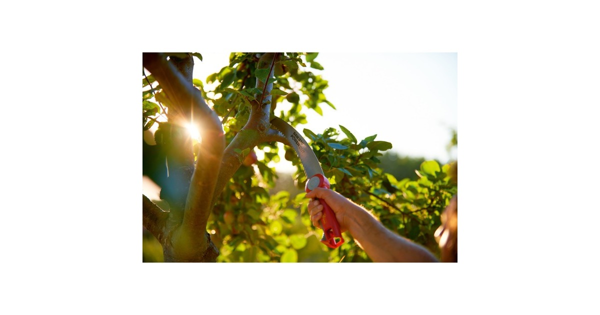 WOLF-Garten Astsäge Power Cut Saw 370, multi-star®(rot/grau, 37cm)