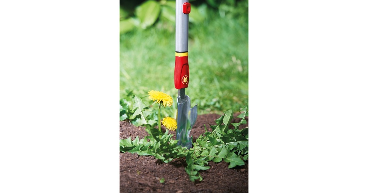 WOLF-Garten Distelstecher IW-M, multi-star, Unkrautstecher(rot/silber, 4cm)