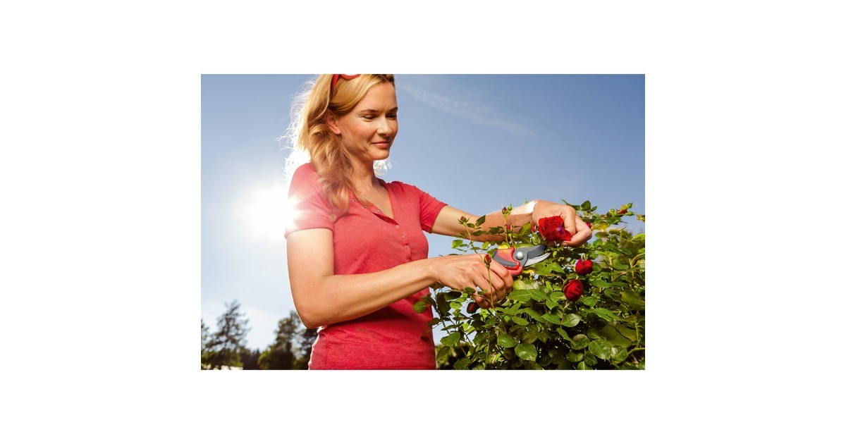 WOLF-Garten Gartenschere RR 4000 