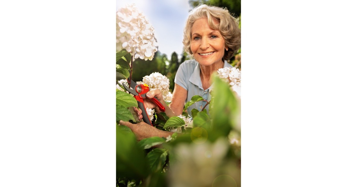 WOLF-Garten Gartenschere RR 4000 