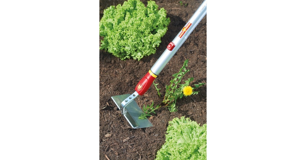 WOLF-Garten Hacke HW-M 15, multi-star(rot/gelb, 15cm)