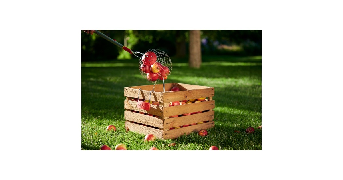 WOLF-Garten Roll-Obstsammler FC-M, Obstpflücker(rot)