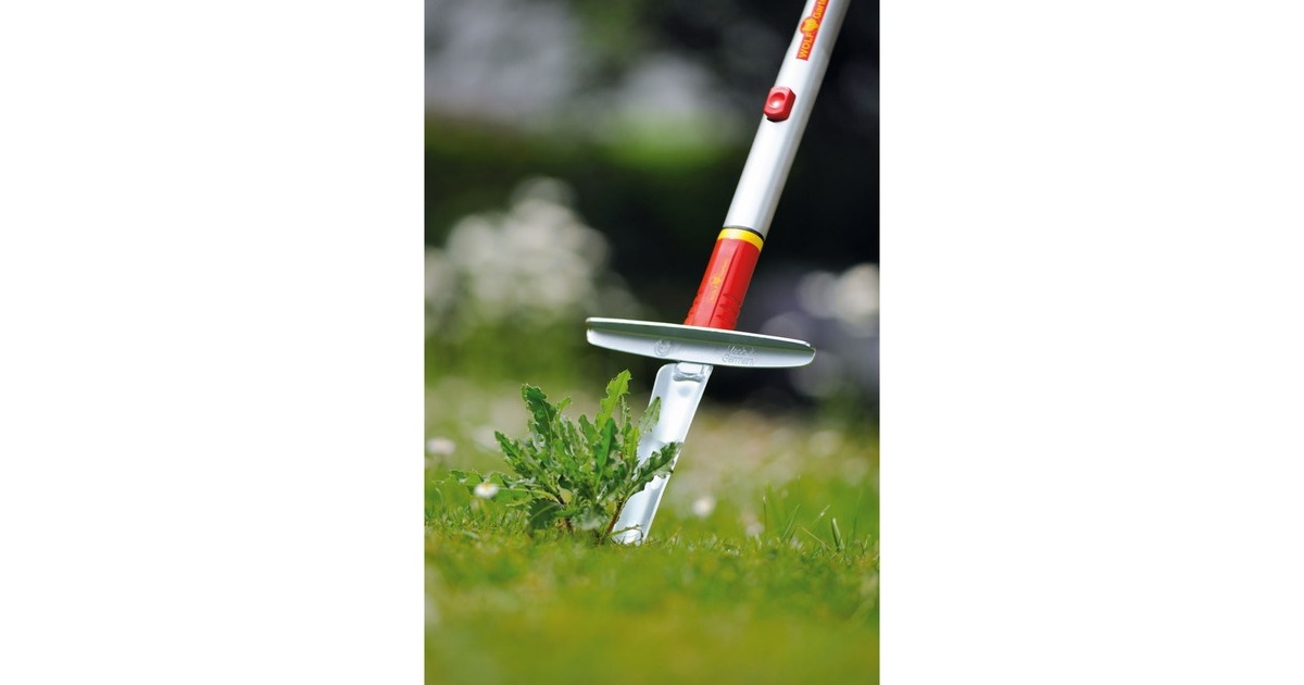 WOLF-Garten Unkrautstecher KS-M, multi-star(rot/silber, 17cm)
