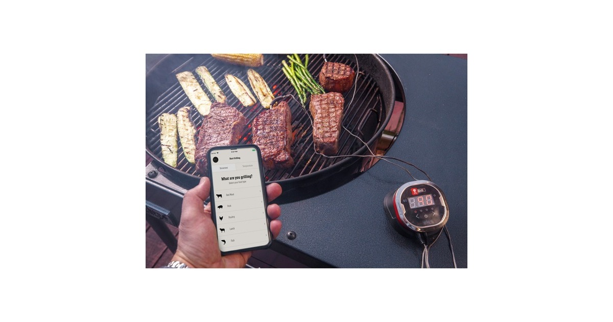 Weber iGrill 2 mit zwei Messfühlern 7221, Thermometer