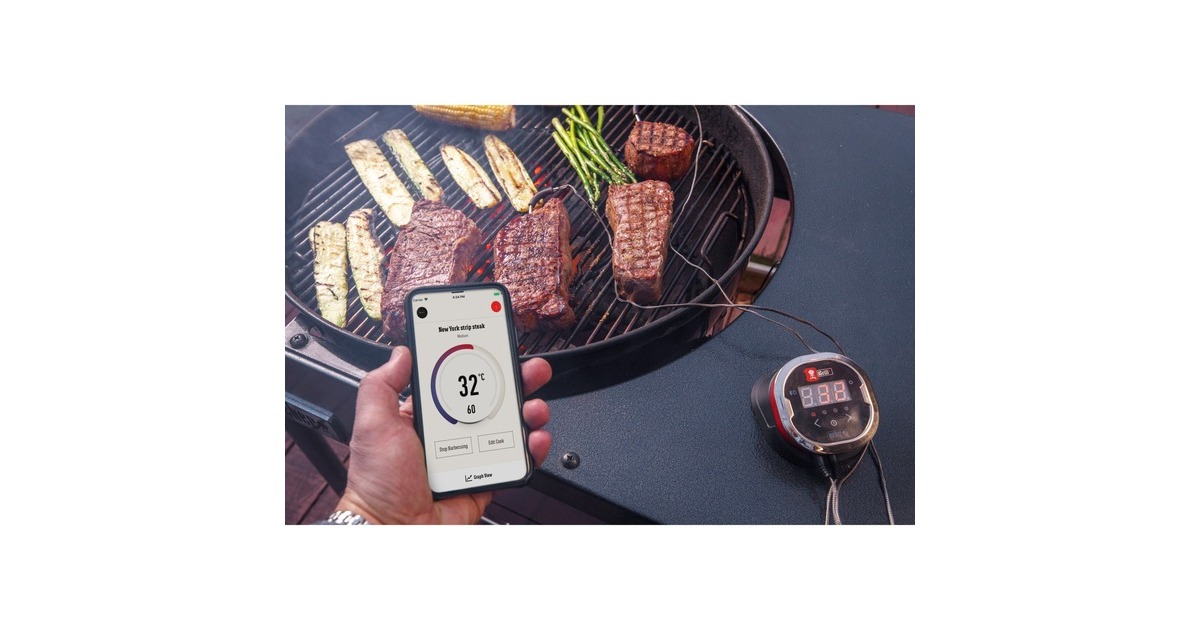 Weber iGrill 2 mit zwei Messfühlern 7221, Thermometer