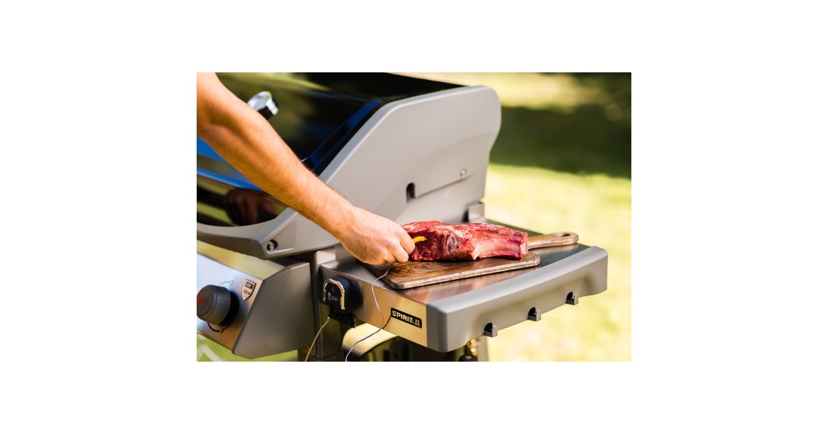 Weber iGrill Pro Messfühler für Grillgut, Thermometer(für alle Weber iGrill Modelle)