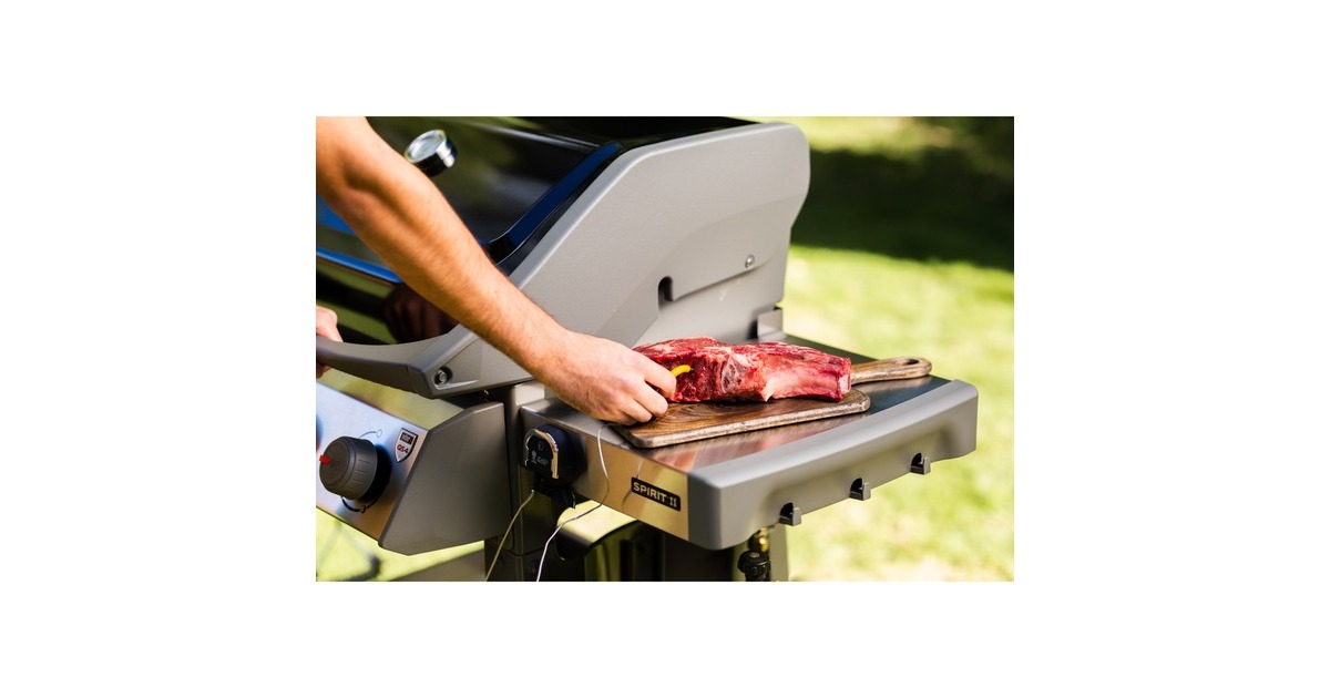 Weber iGrill Pro Messfühler für Grillgut, Thermometer(für alle Weber iGrill Modelle)