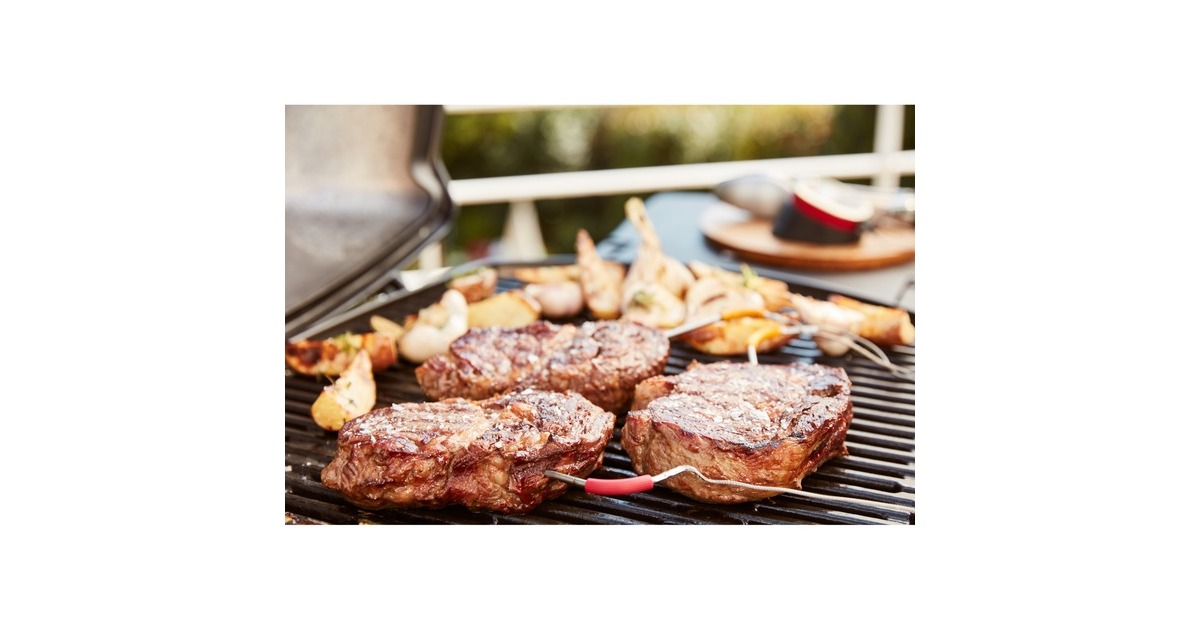 Weber iGrill Pro Messfühler für Grillgut, Thermometer(für alle Weber iGrill Modelle)