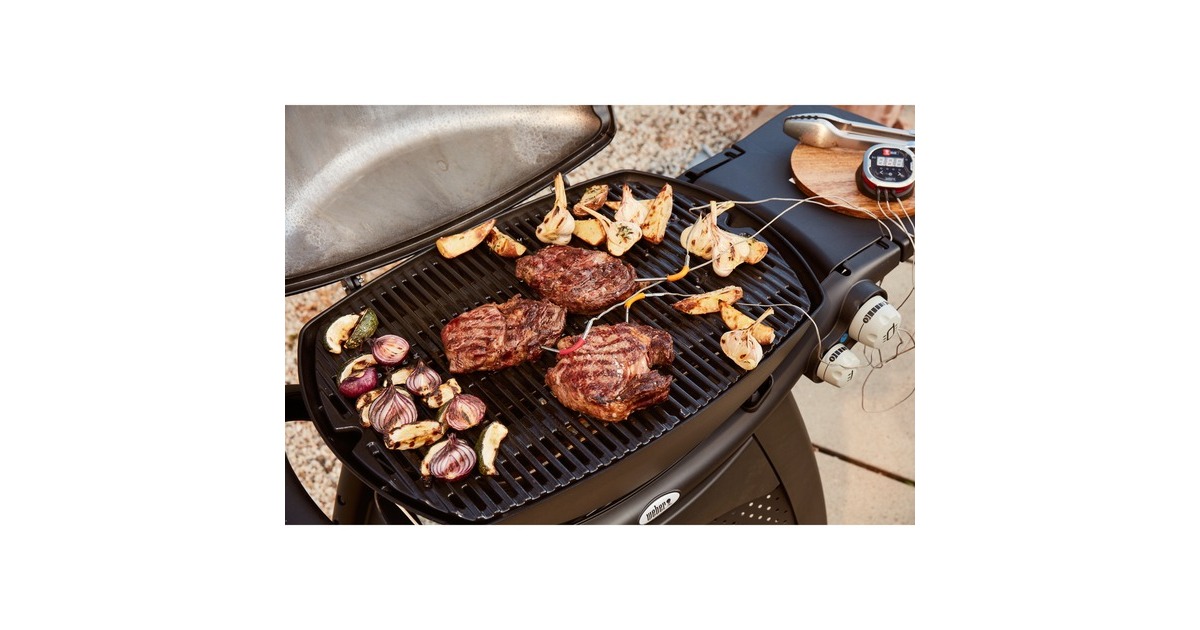 Weber iGrill Pro Messfühler für Grillgut, Thermometer(für alle Weber iGrill Modelle)