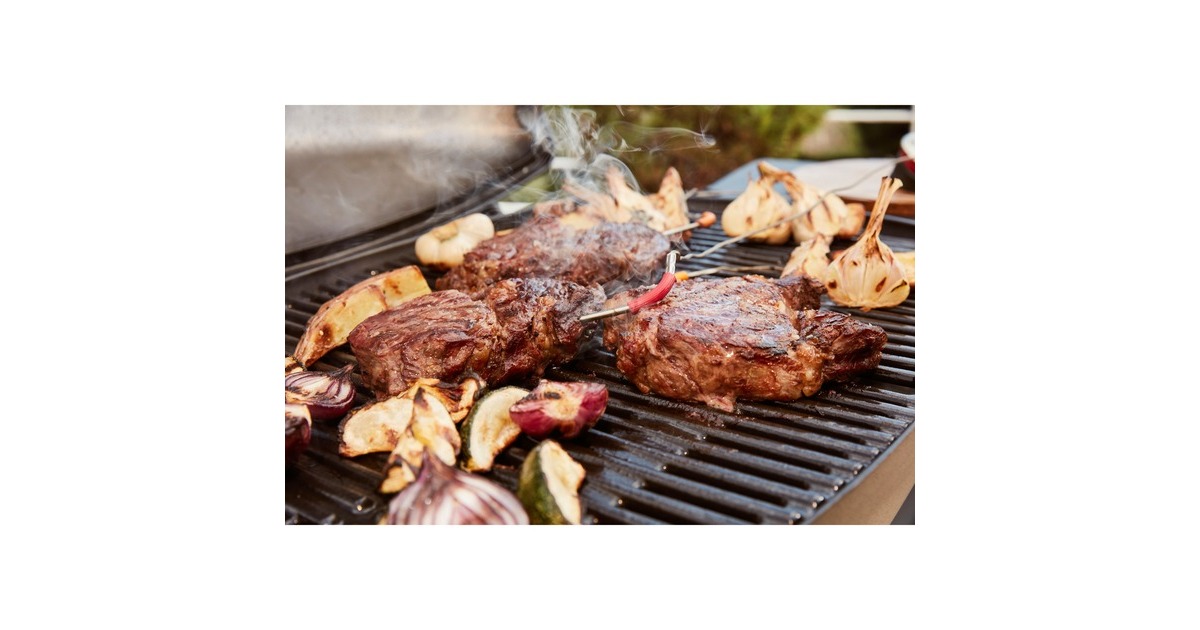 Weber iGrill Pro Messfühler für Grillgut, Thermometer(für alle Weber iGrill Modelle)
