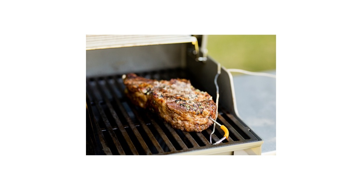Weber iGrill Pro Messfühler für Grillgut, Thermometer(für alle Weber iGrill Modelle)