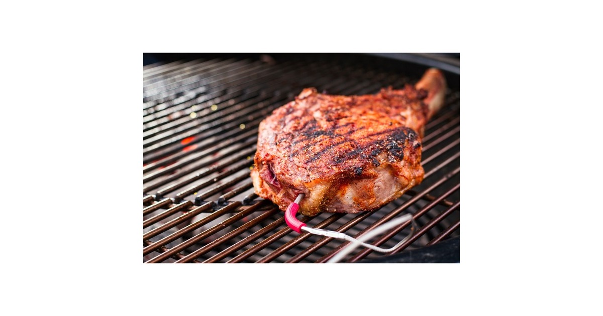 Weber iGrill Pro Messfühler für Grillgut, Thermometer(für alle Weber iGrill Modelle)