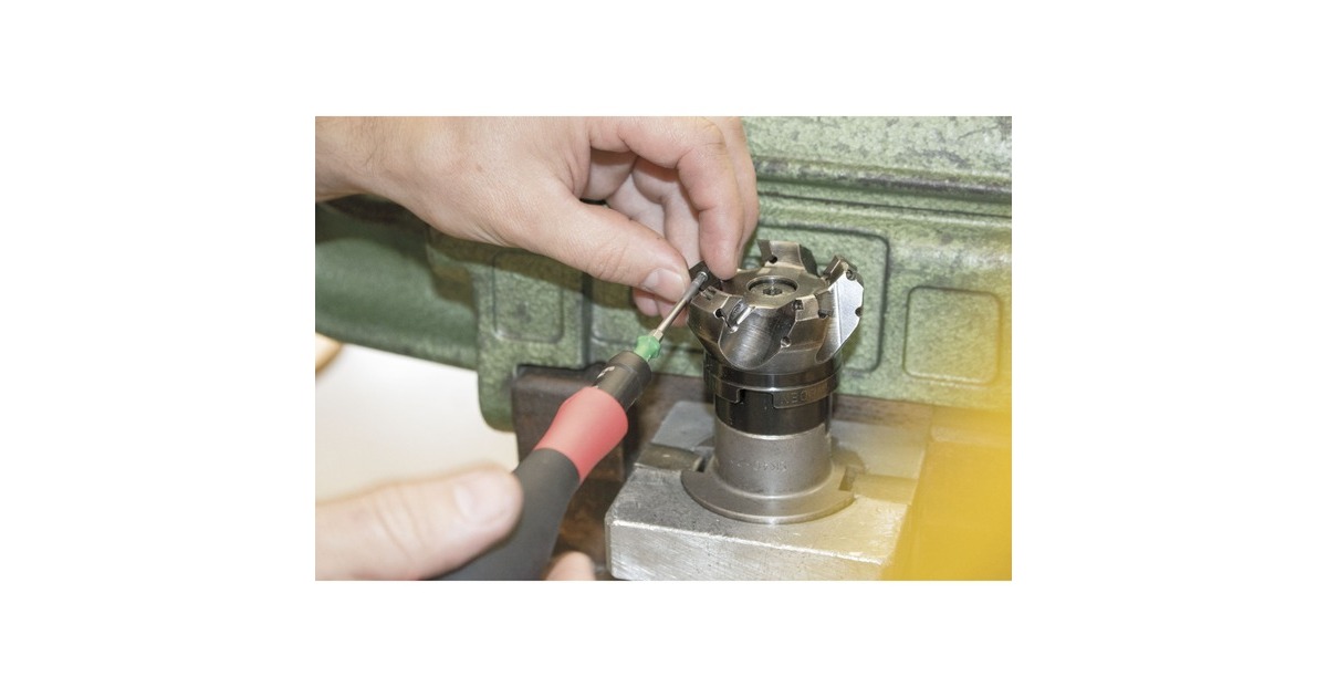 Wiha Drehmoment-Schraubendreher Set TorqueVario-S(schwarz/rot, 14-teilig, 0,8 - 5Nm)