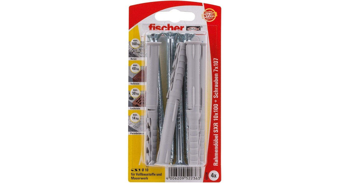 fischer Langschaftdübel SXR 10x100 SS K(hellgrau, 4 Stück, mit Schraube)