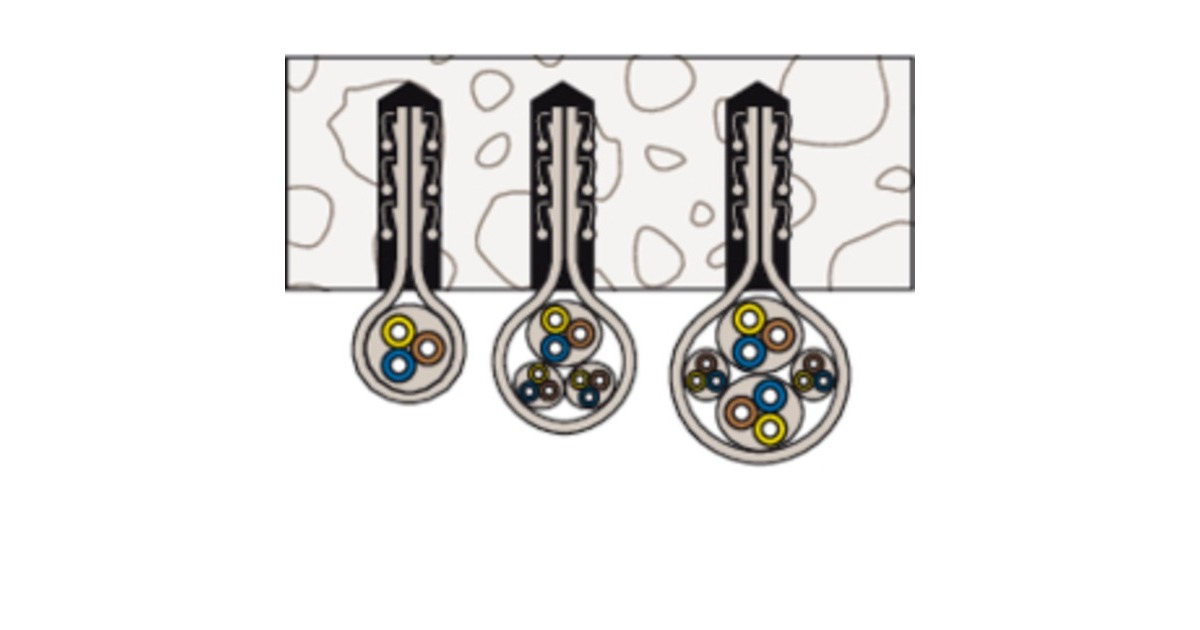 fischer Leitungsschlaufe Steckfix SF plus LS 3/13, Schelle(hellgrau, 100 Stück)