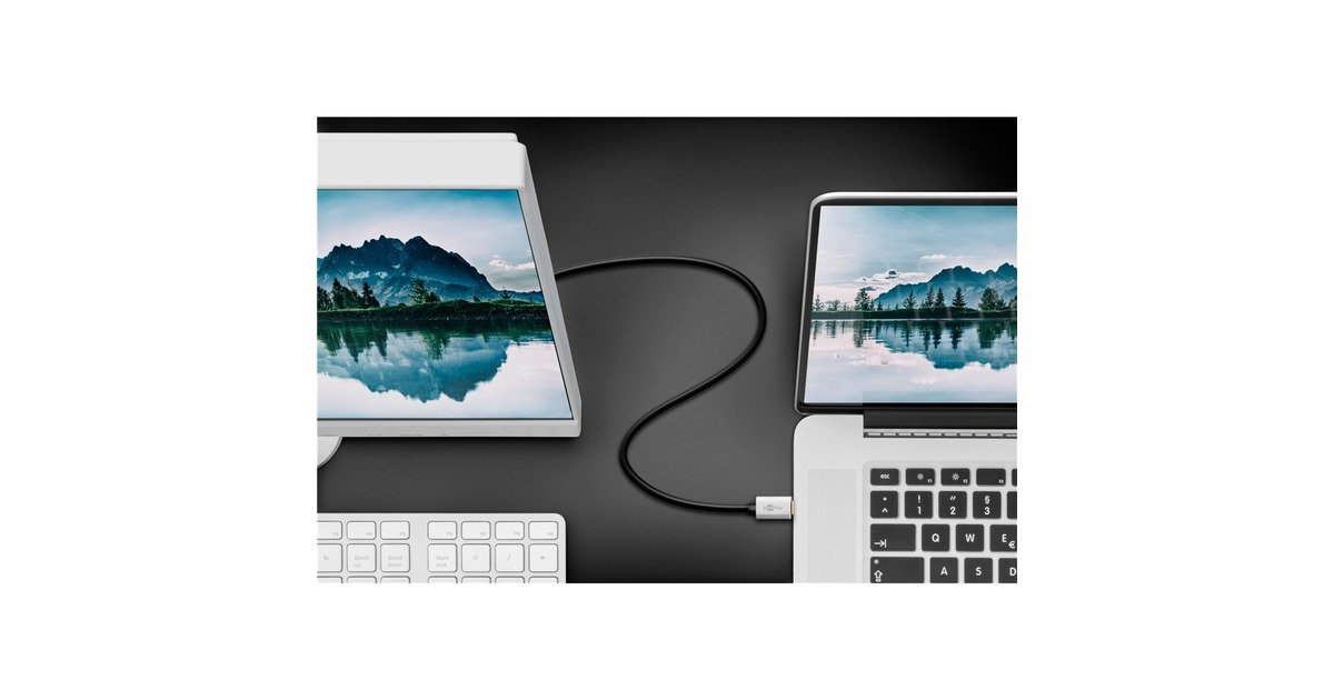 DisplayPort(schwarz/silber, 2 Meter)