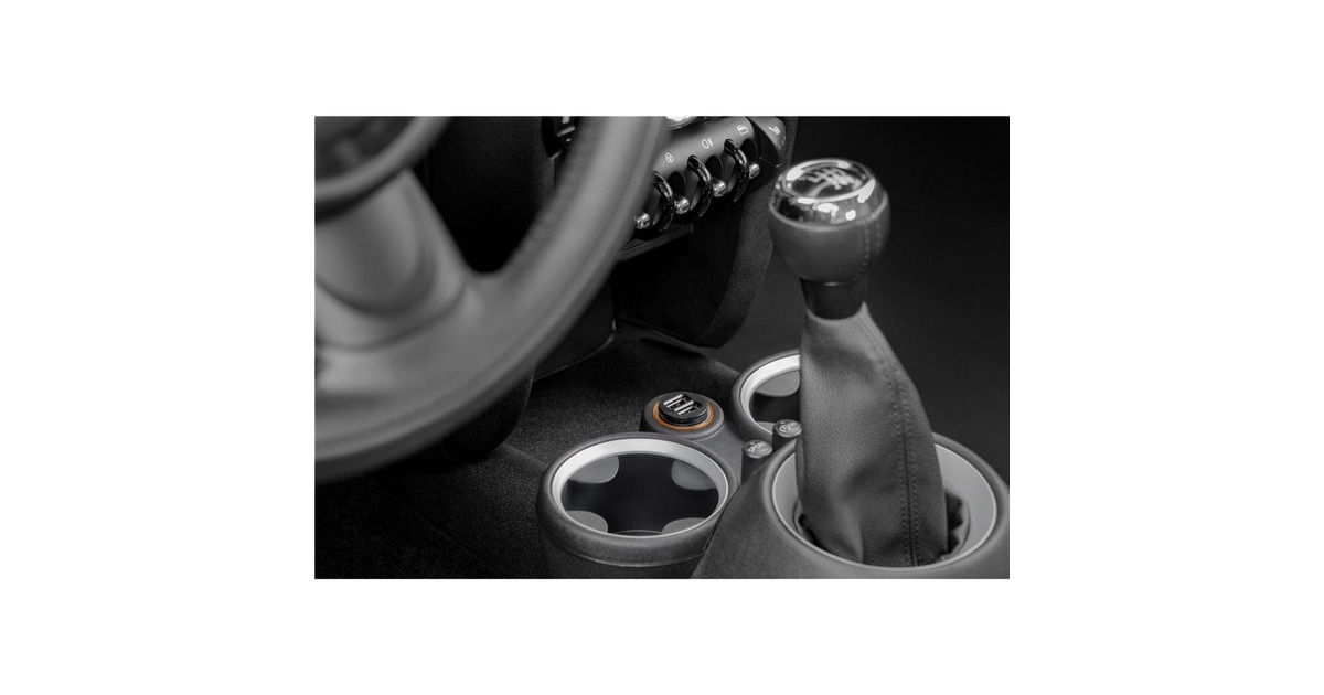 goobay Dual-USB Auto Ladegerät mit zwei USB-Ports(schwarz, max. 24W/2,4,8A 12/24V)