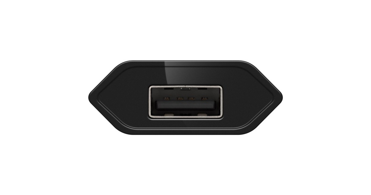 goobay USB-Ladegerät 1 A (5W) schwarz(schwarz)